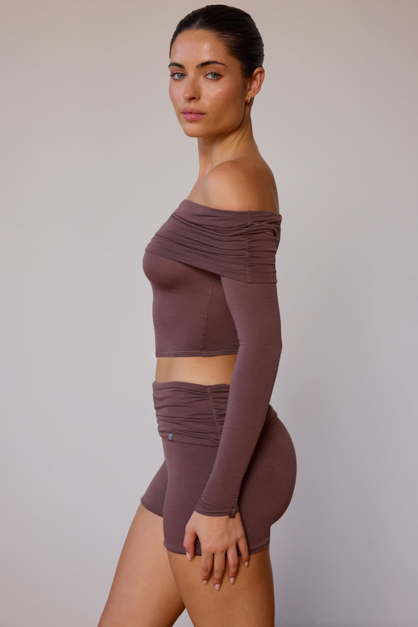 Sheer Off-Shoulder Long-Sleeve Top in Taupe Brown